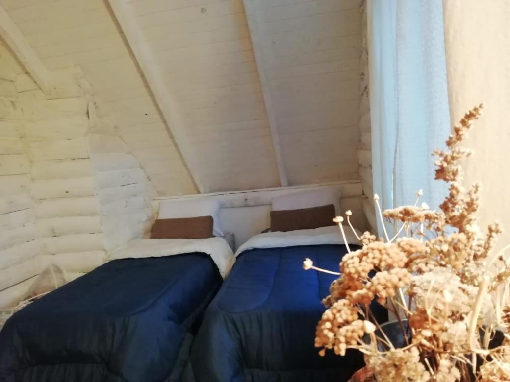 Cabana Azul Trevelín Eksteriør billede